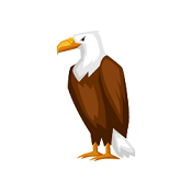 Eagle Image